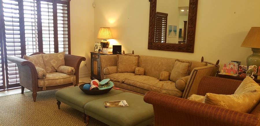 Living Room Area